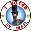 I Voted by Mail